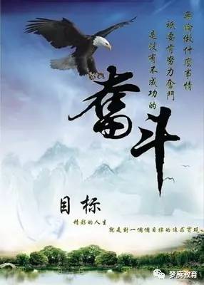 破茧成蝶，辉煌旅程的励志故事